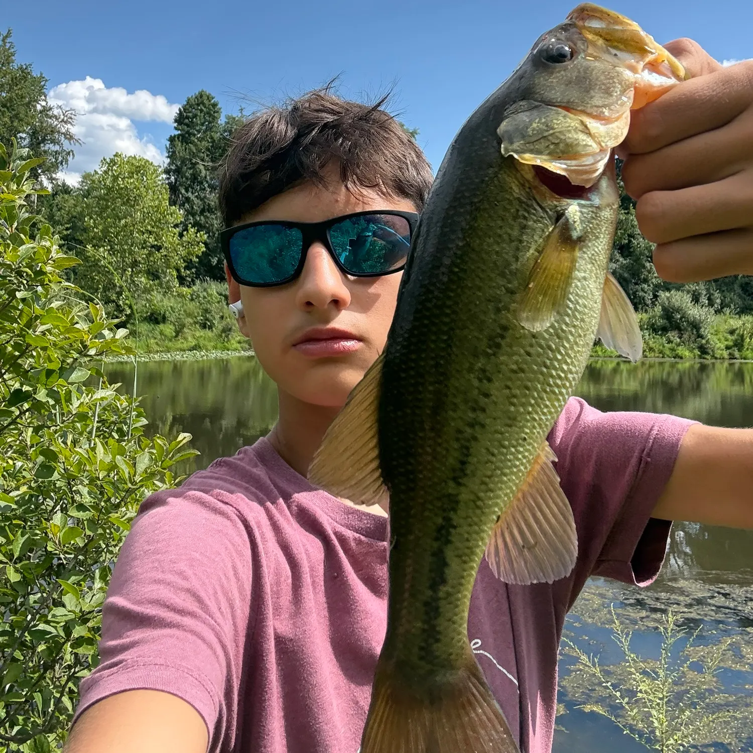 Largemouth bass caught on Fishbrain