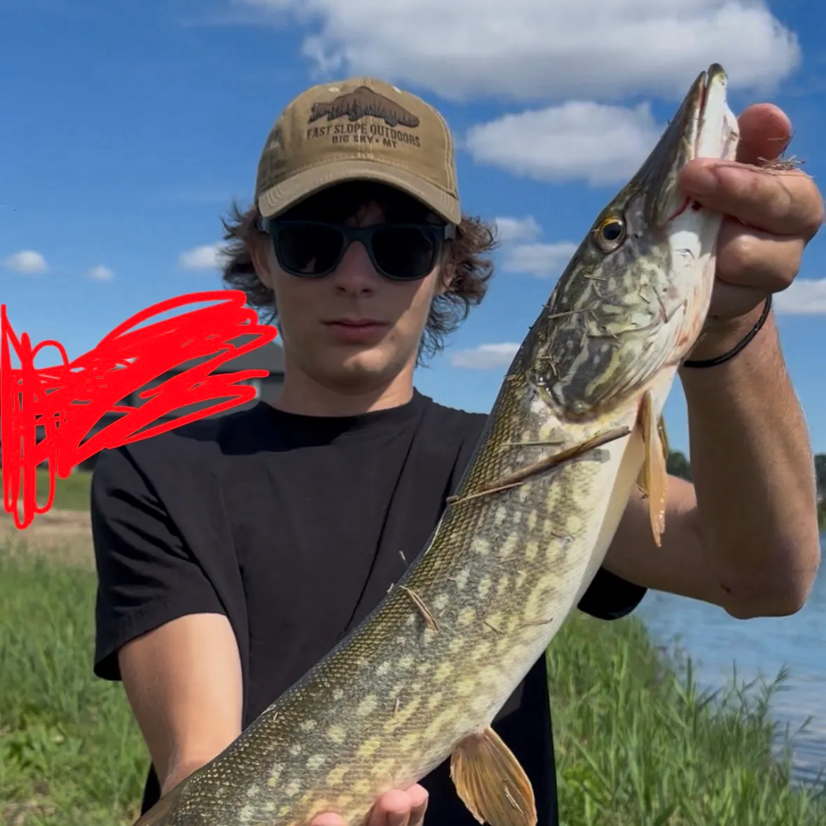 Northern pike caught on Fishbrain