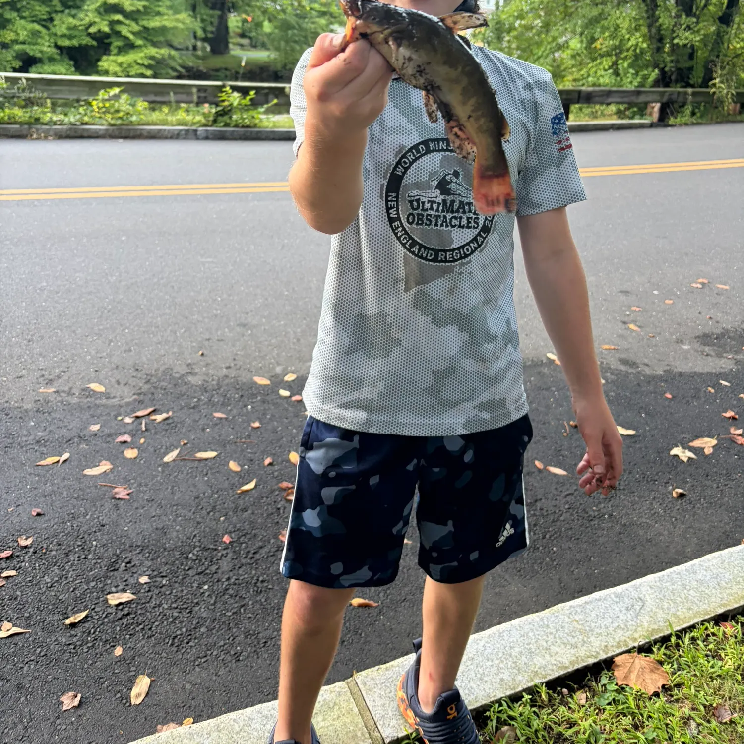Channel catfish caught on Fishbrain