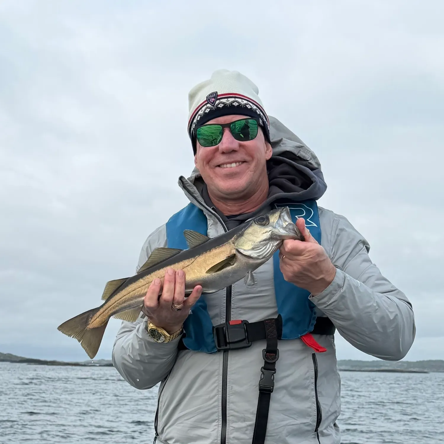 Pollack caught on Fishbrain