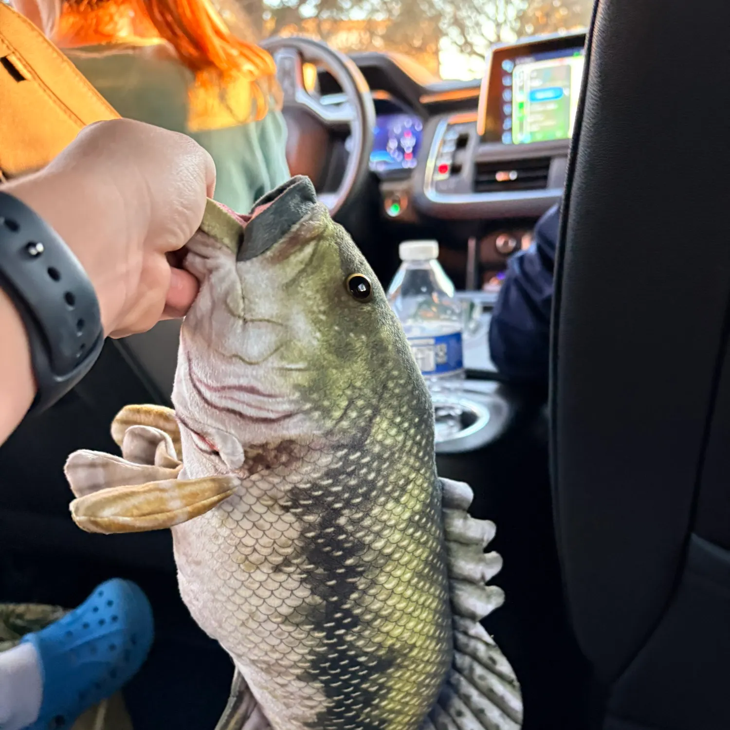 The most recent Largemouth bass catches on Fishbrain