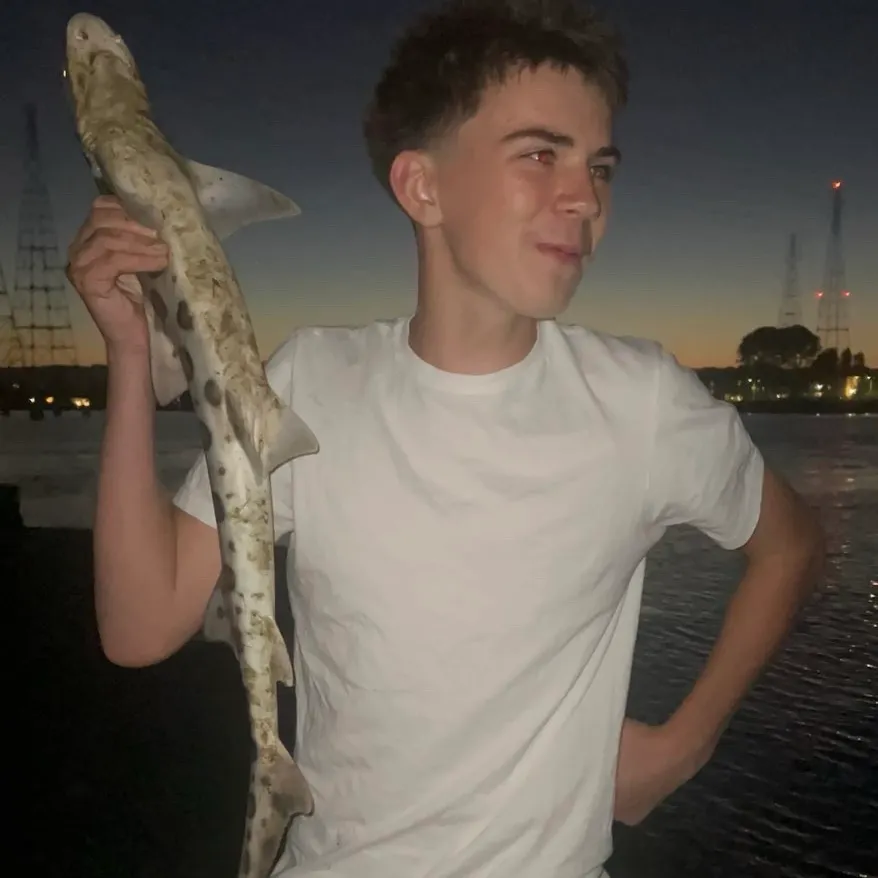Leopard shark caught on Fishbrain
