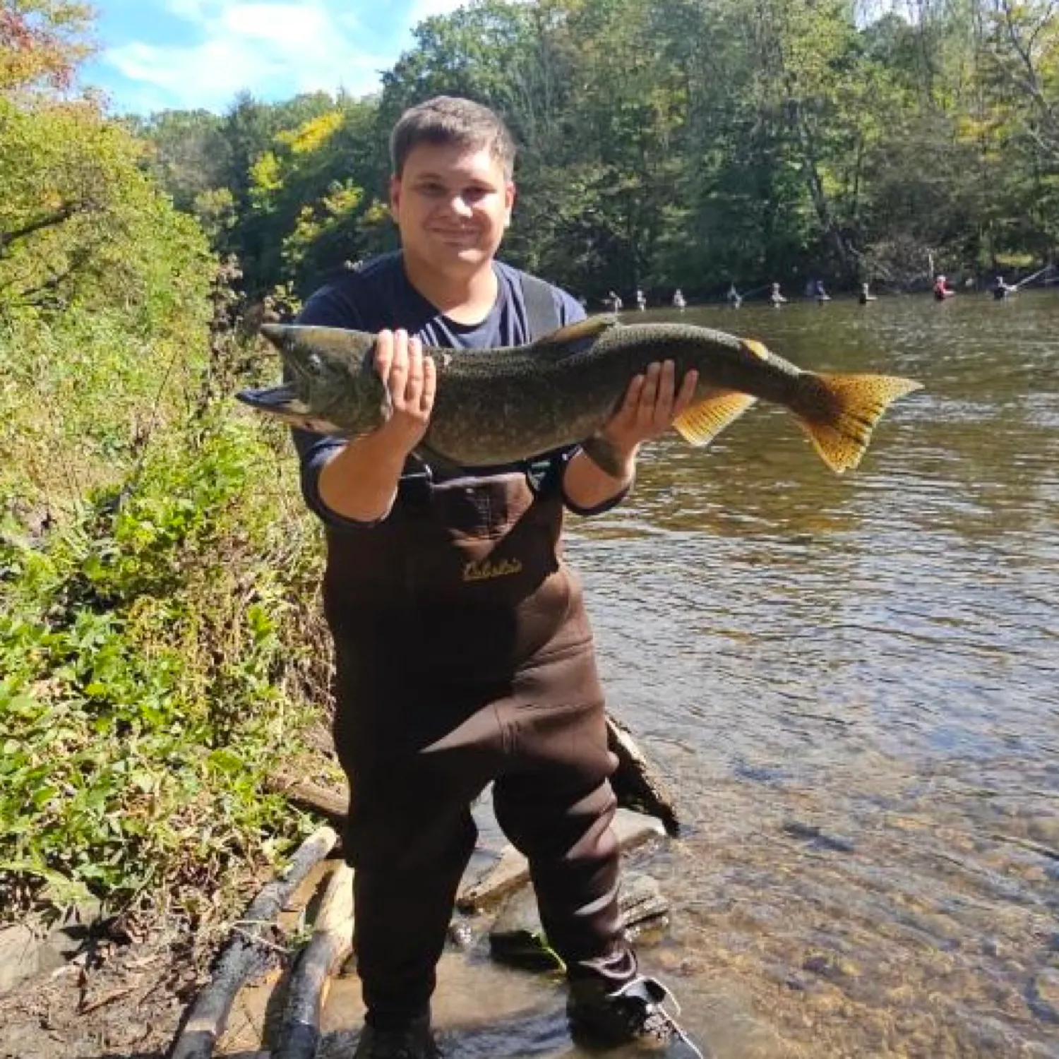 most liked catch image