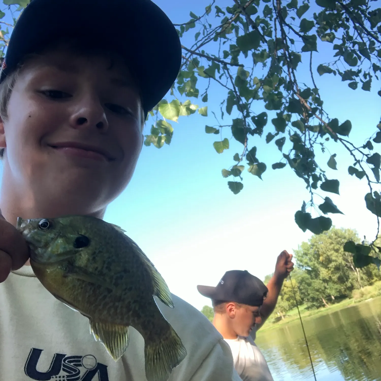 Greengill hybrid caught on Fishbrain