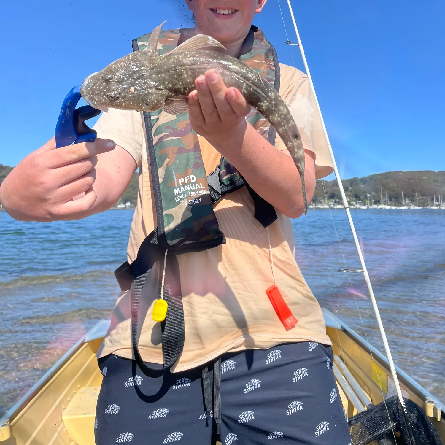 The most recent Dusky flathead catches on Fishbrain
