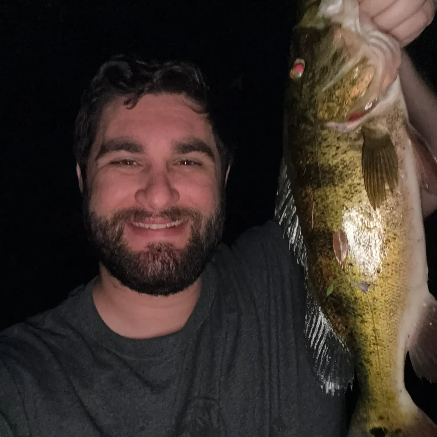 The most recent Butterfly peacock bass catches on Fishbrain