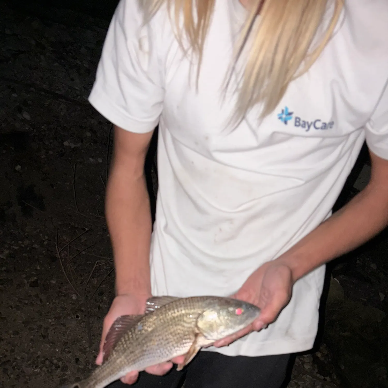 The most recent Red drum catches on Fishbrain