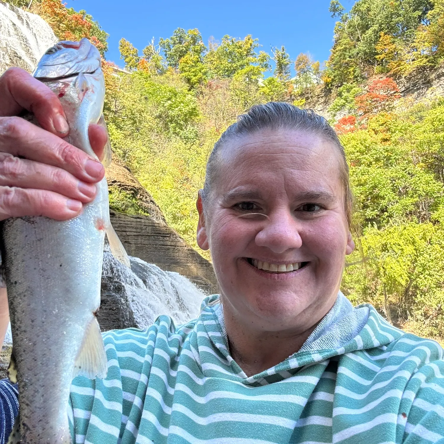 Rainbow trout caught on Fishbrain