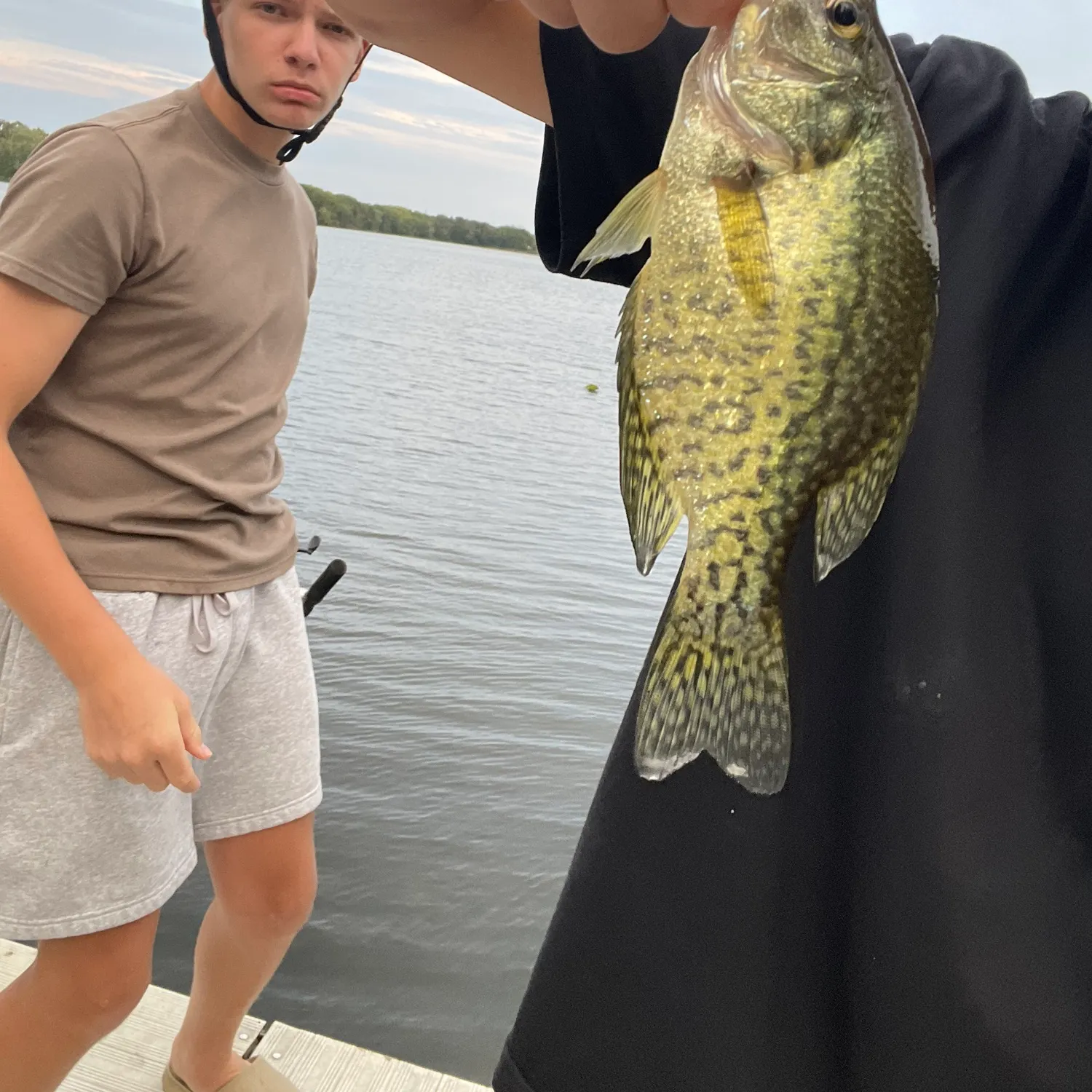 Black crappie caught on Fishbrain