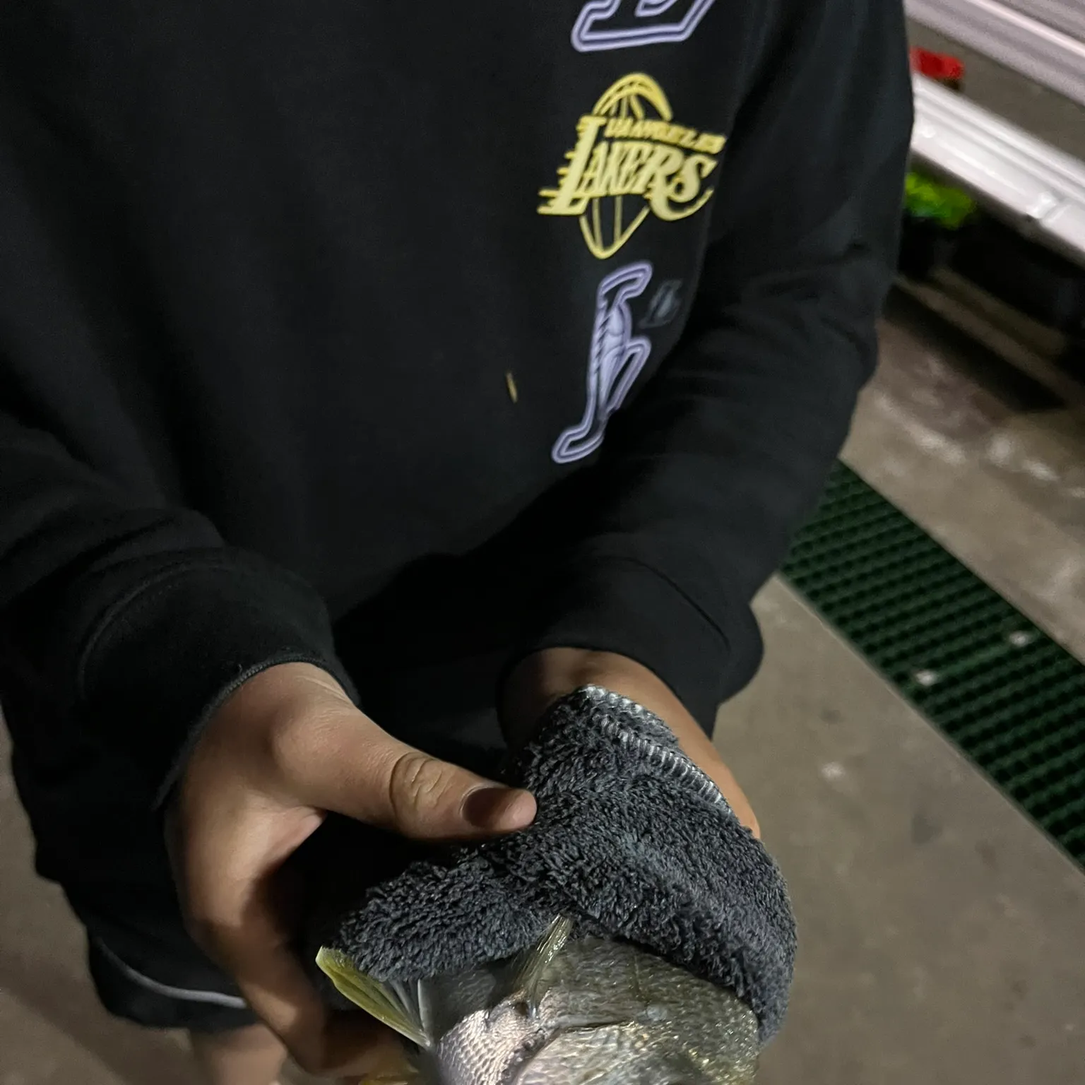 The most recent Goldlined seabream catches on Fishbrain