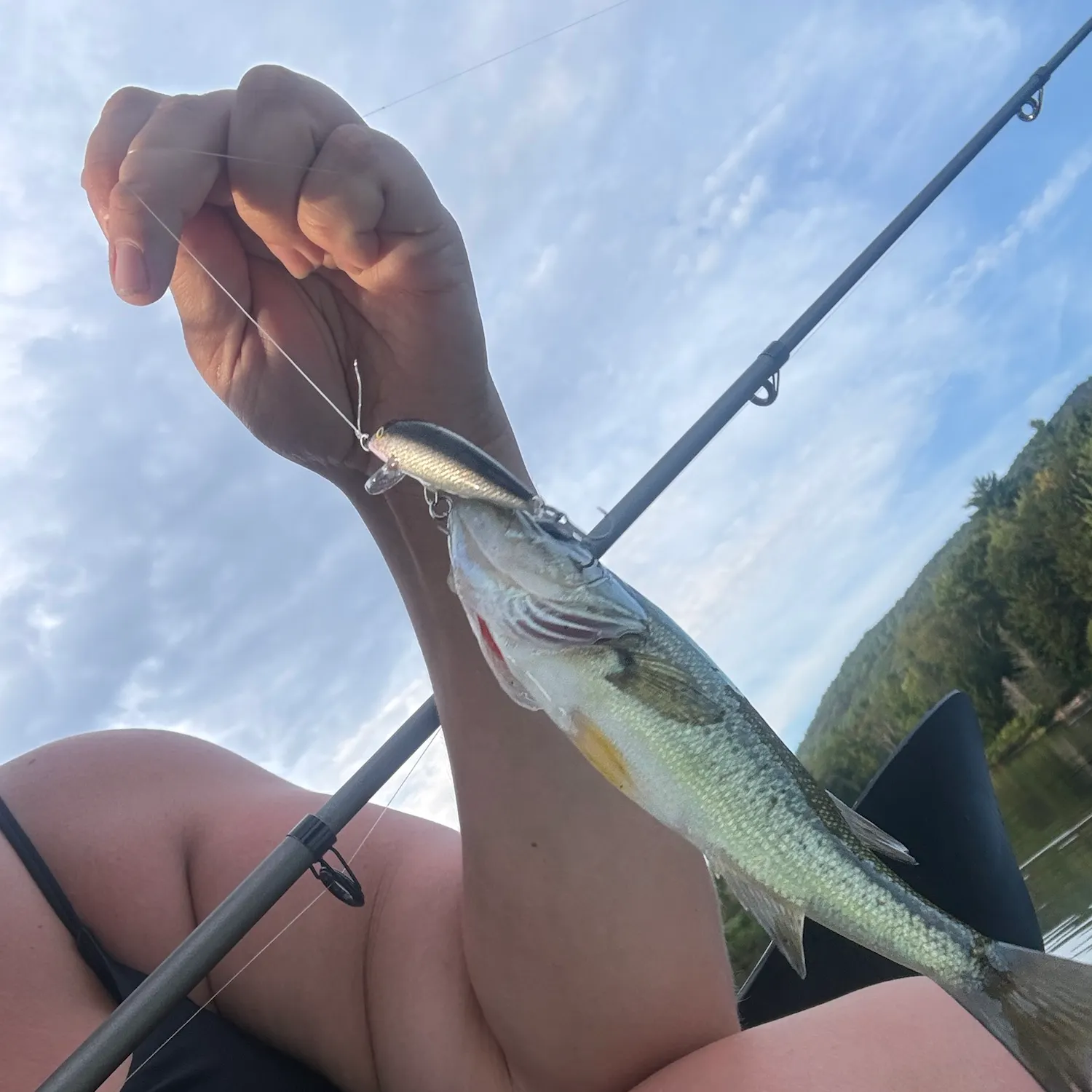 Largemouth bass caught on Fishbrain