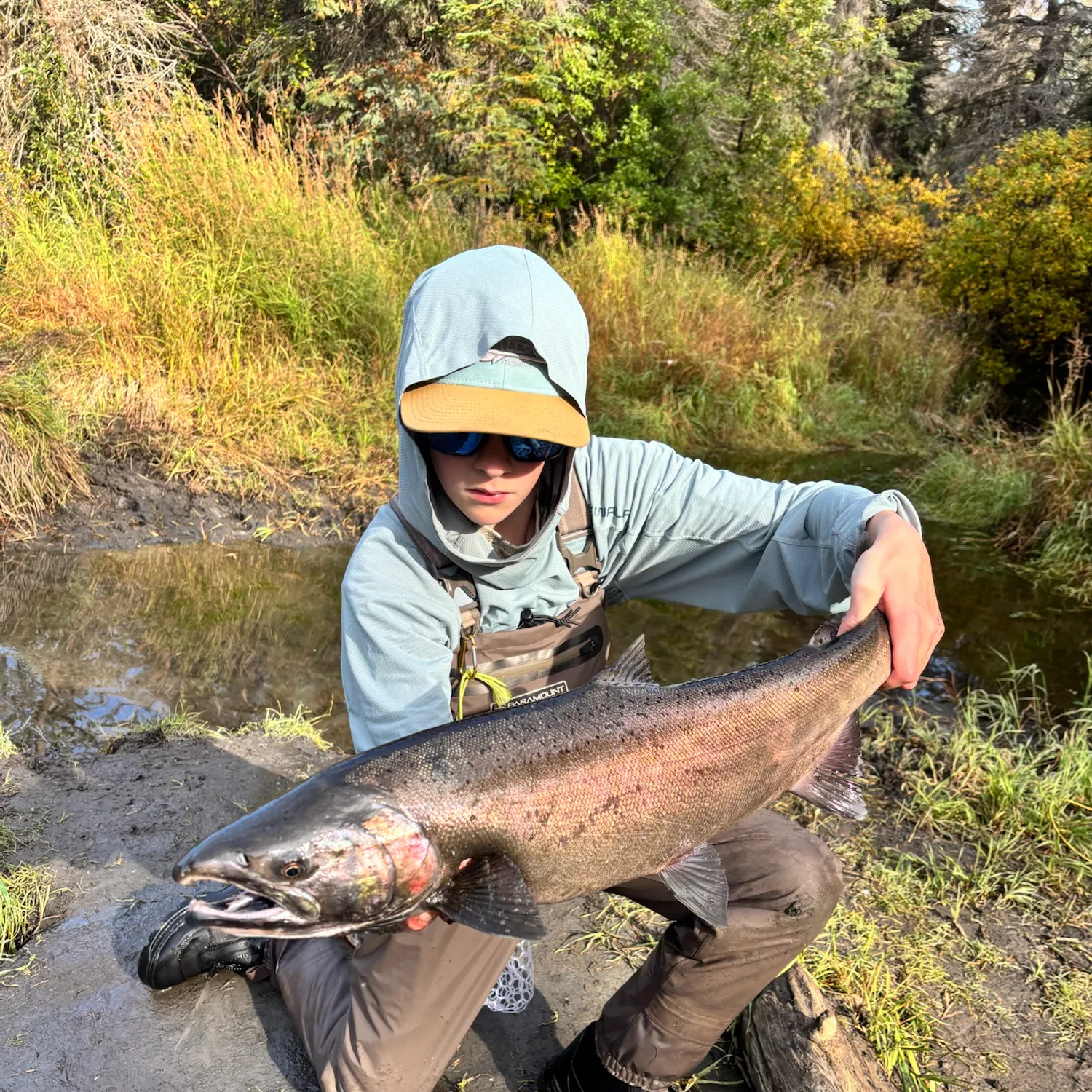 Coho salmon caught on Fishbrain