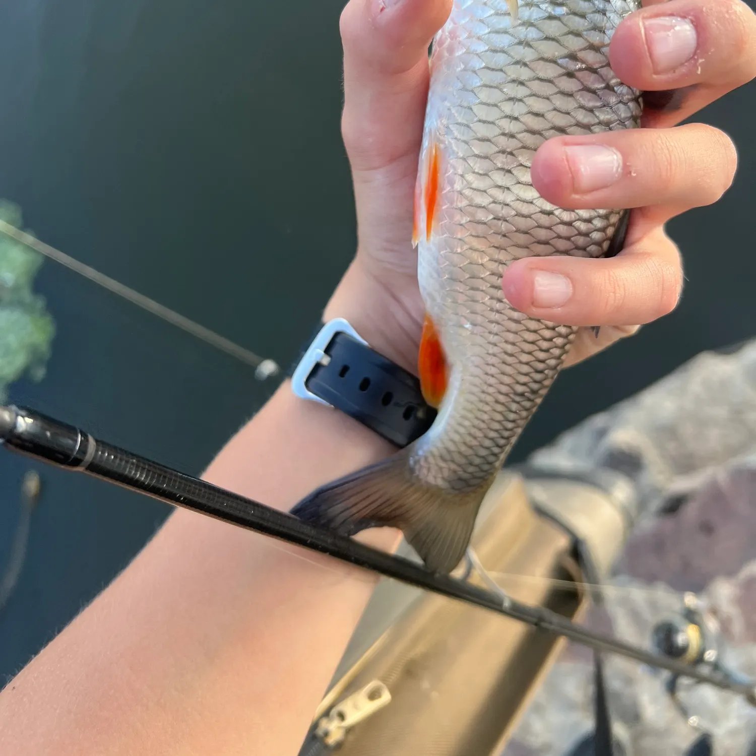 catch