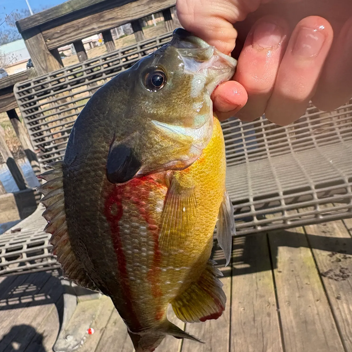 catch