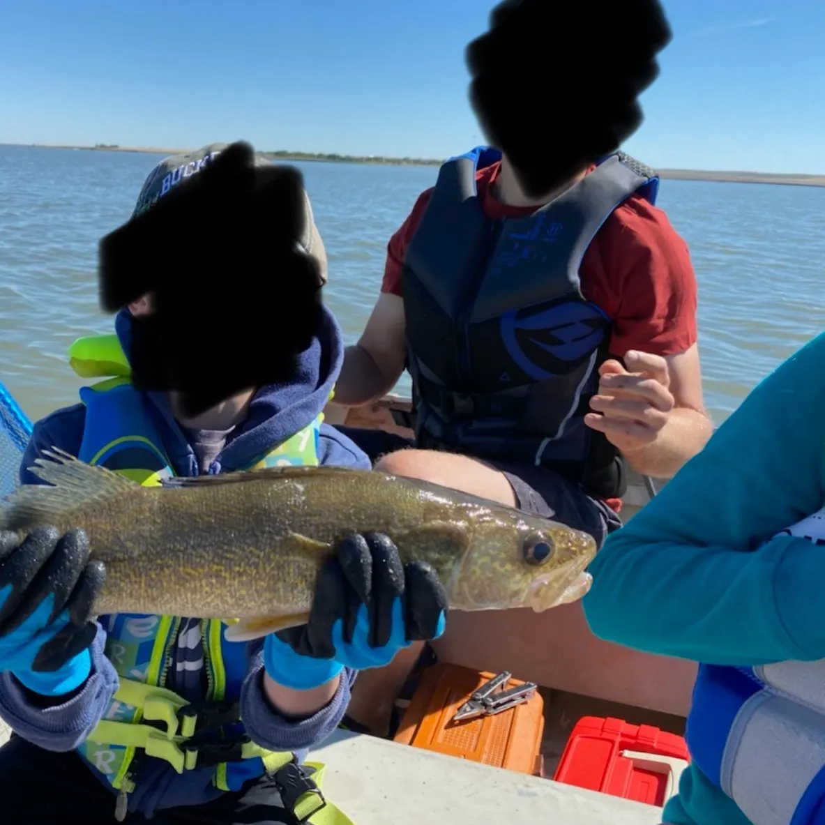 The most recent Walleye catches on Fishbrain