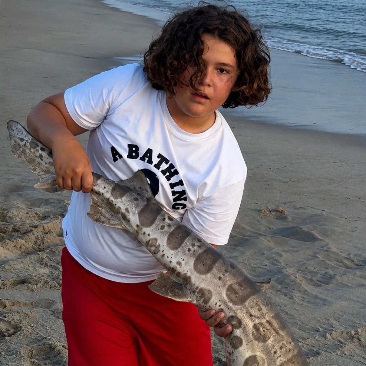 Leopard shark caught on Fishbrain