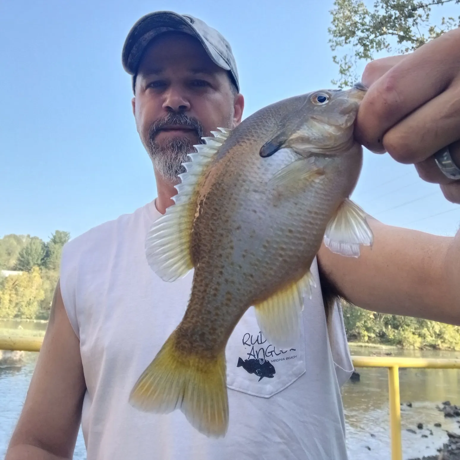 Redbreast sunfish caught on Fishbrain