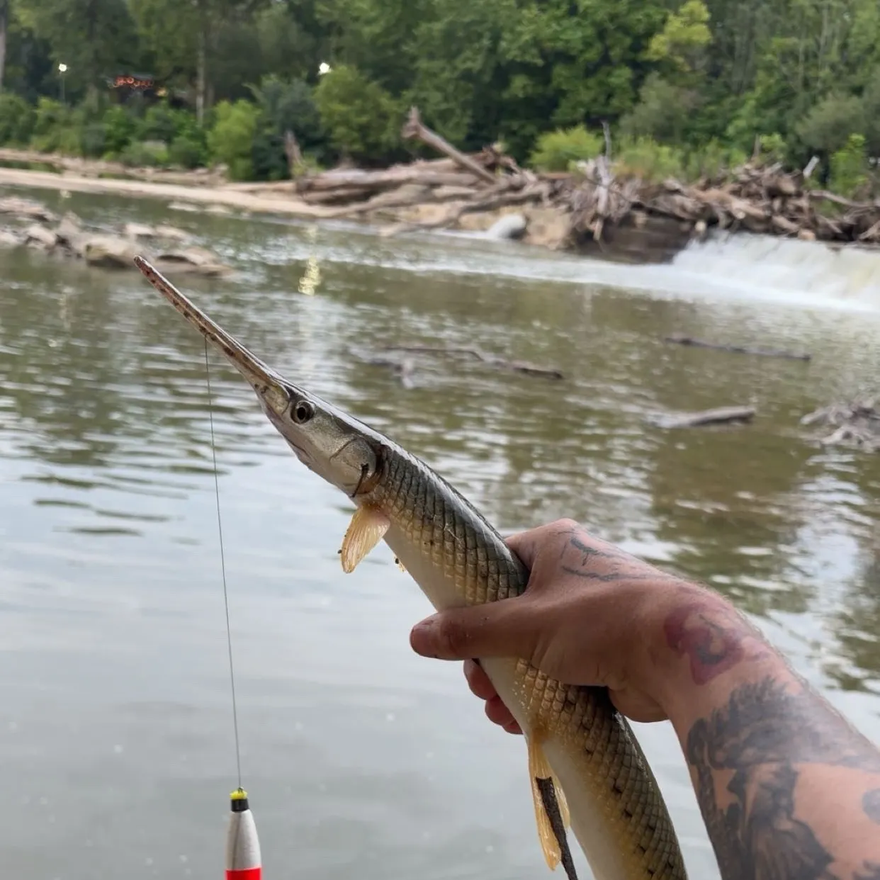 catch