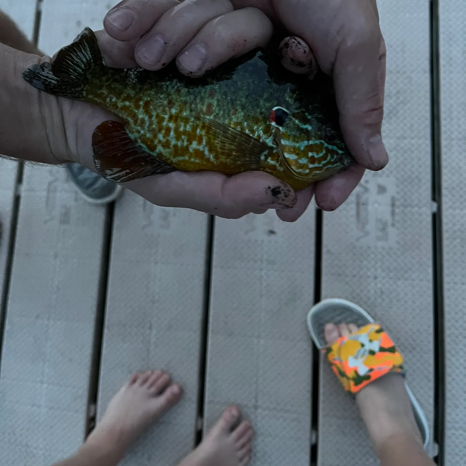 catch