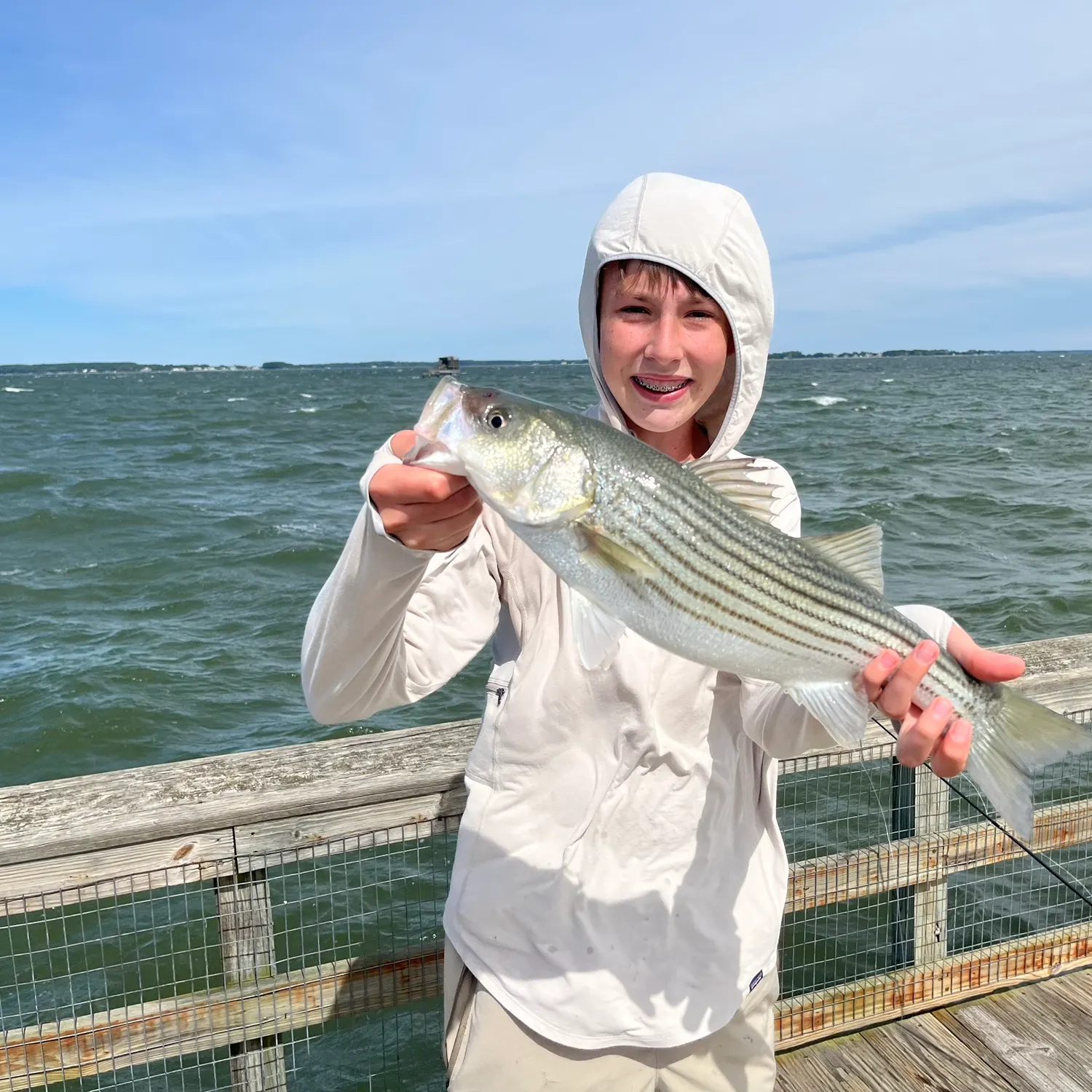 Striped bass caught on Fishbrain