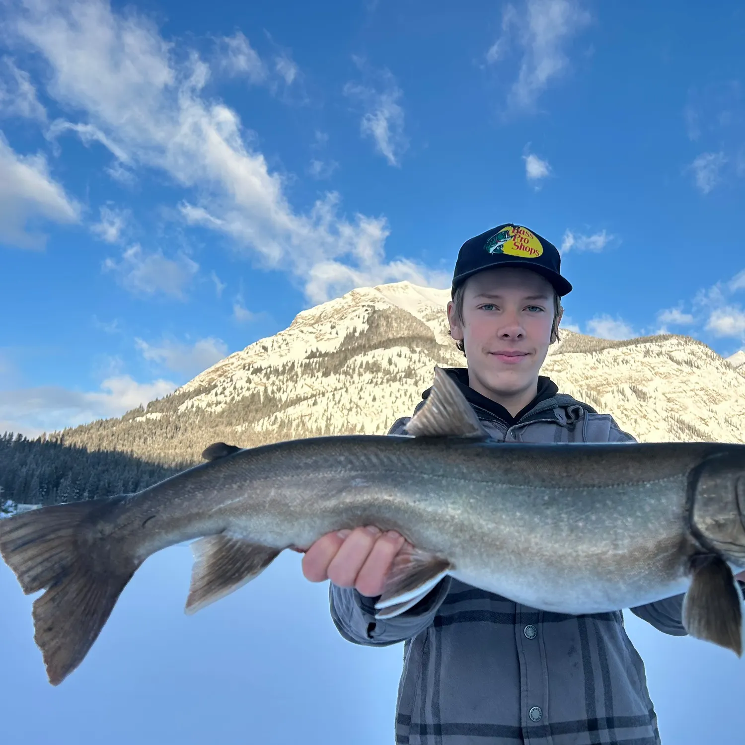 The most recent Bull trout catches on Fishbrain