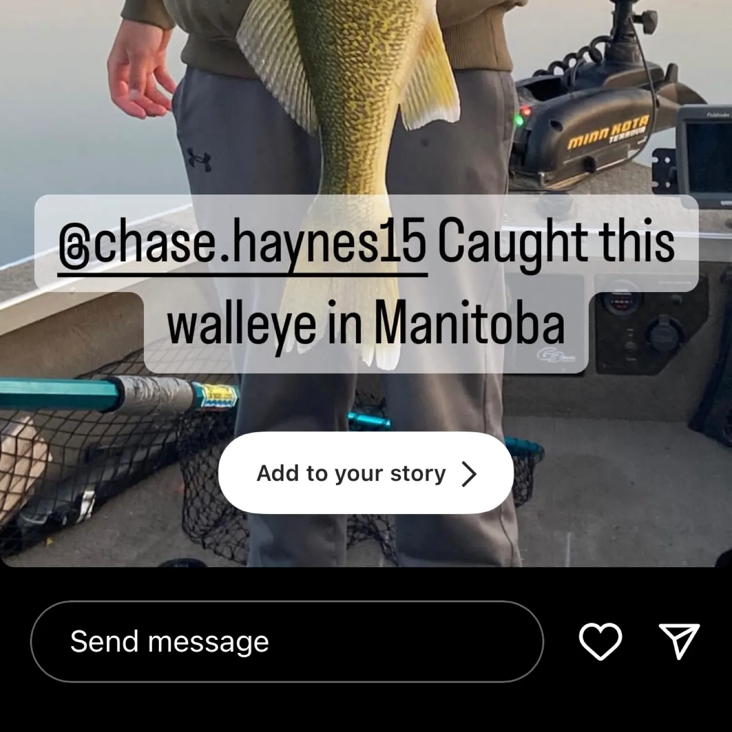 recently logged catches