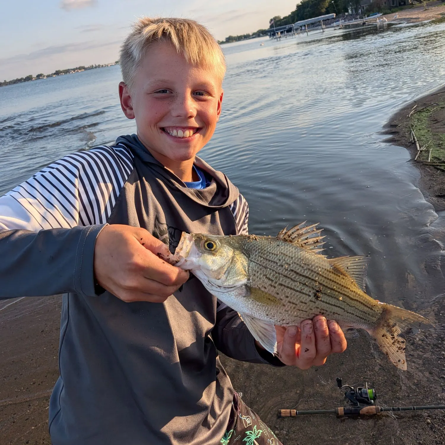 White bass caught on Fishbrain