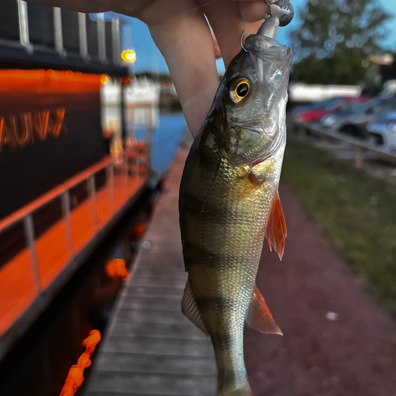 catch