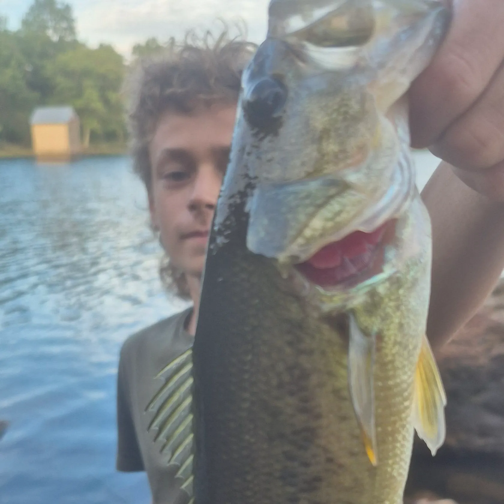 Fish caught on Fishbrain