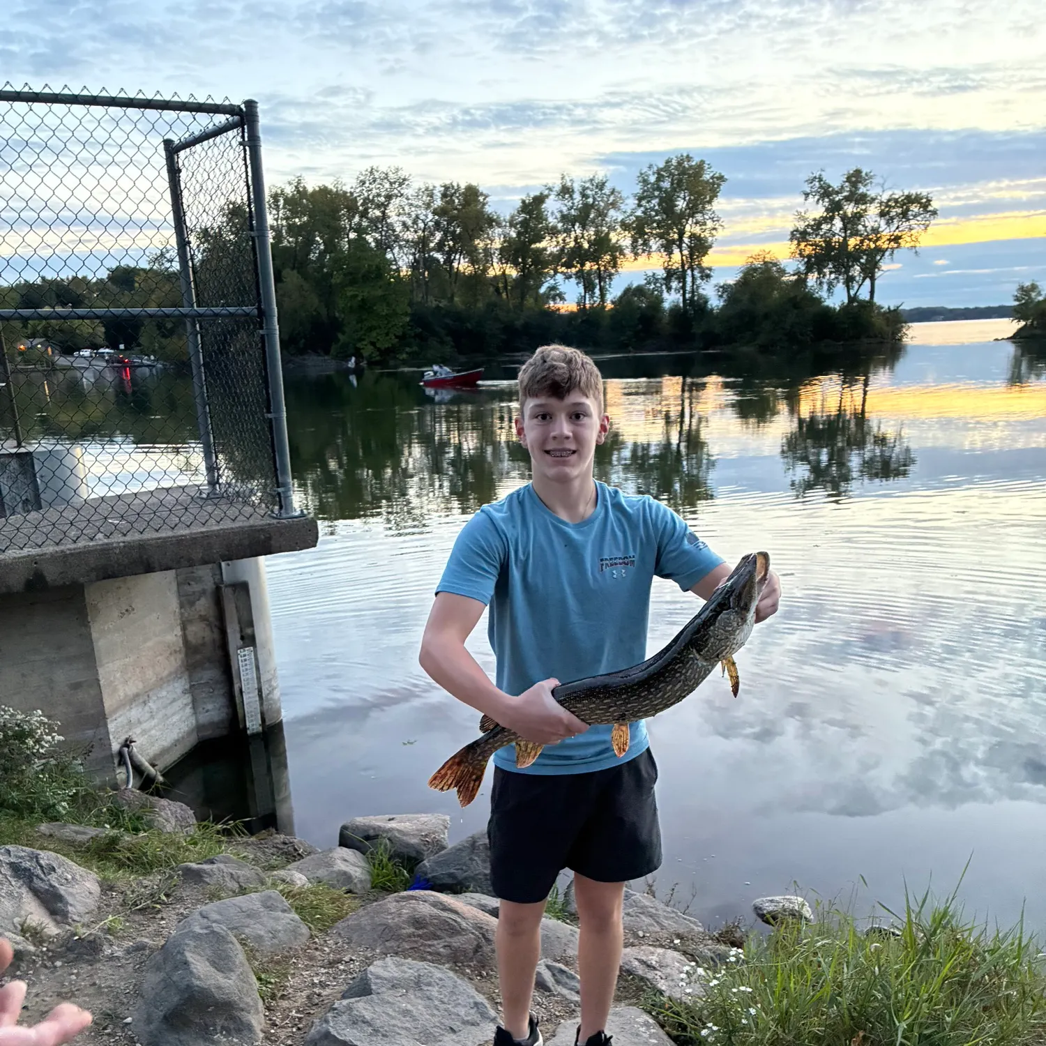 Northern pike caught on Fishbrain