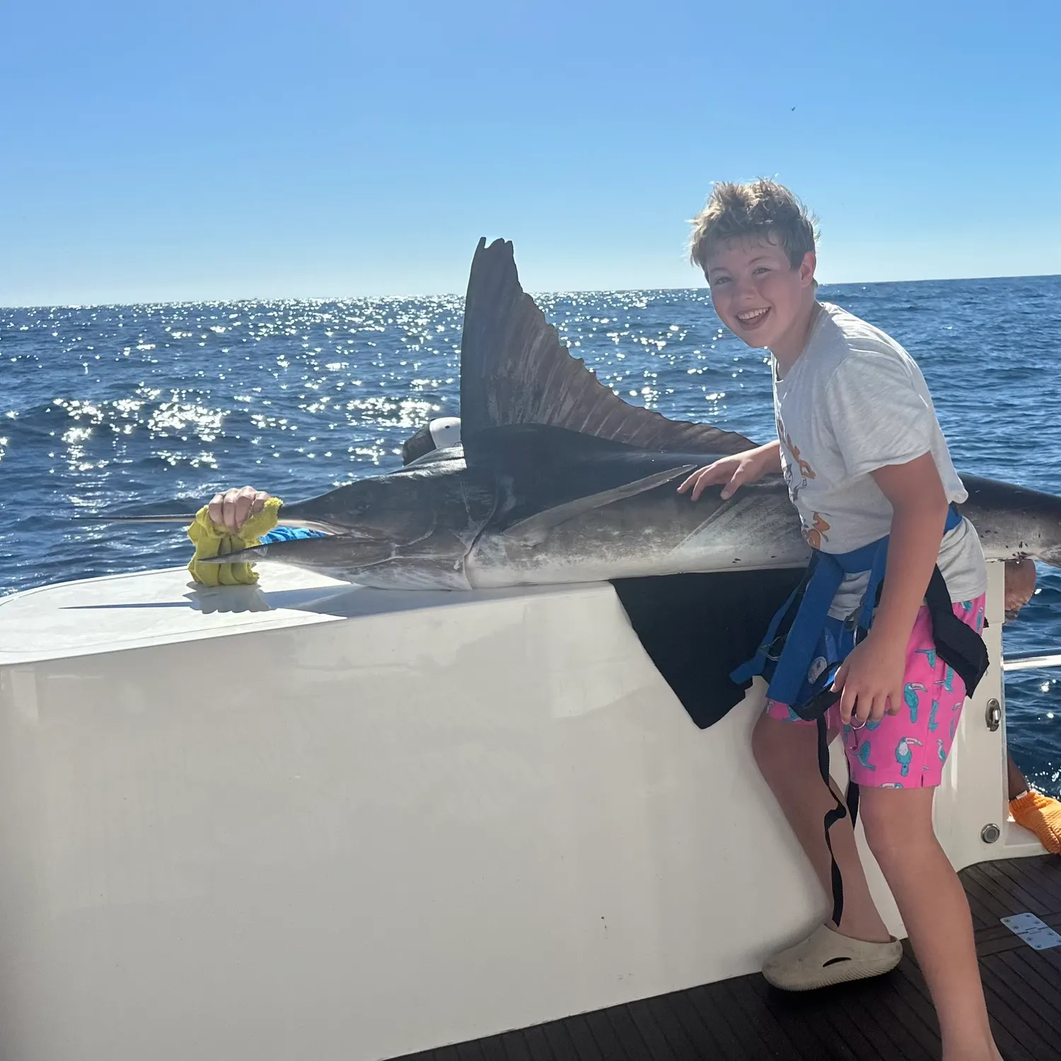 The most recent Black marlin catches on Fishbrain
