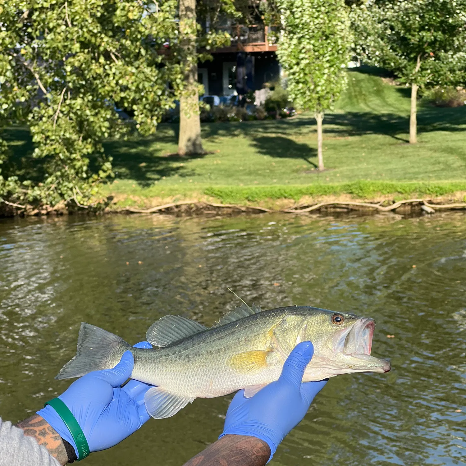 catch