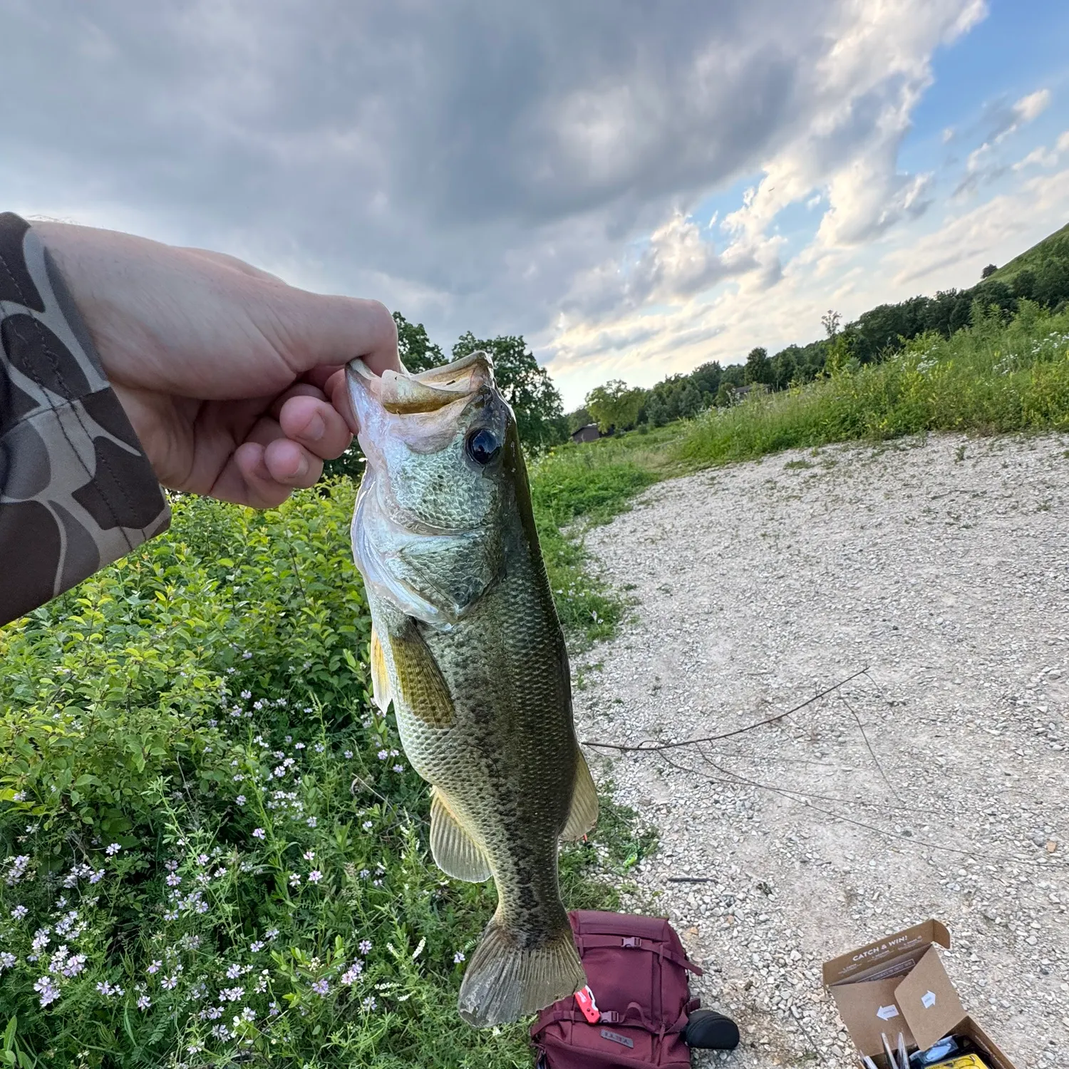 recently logged catches