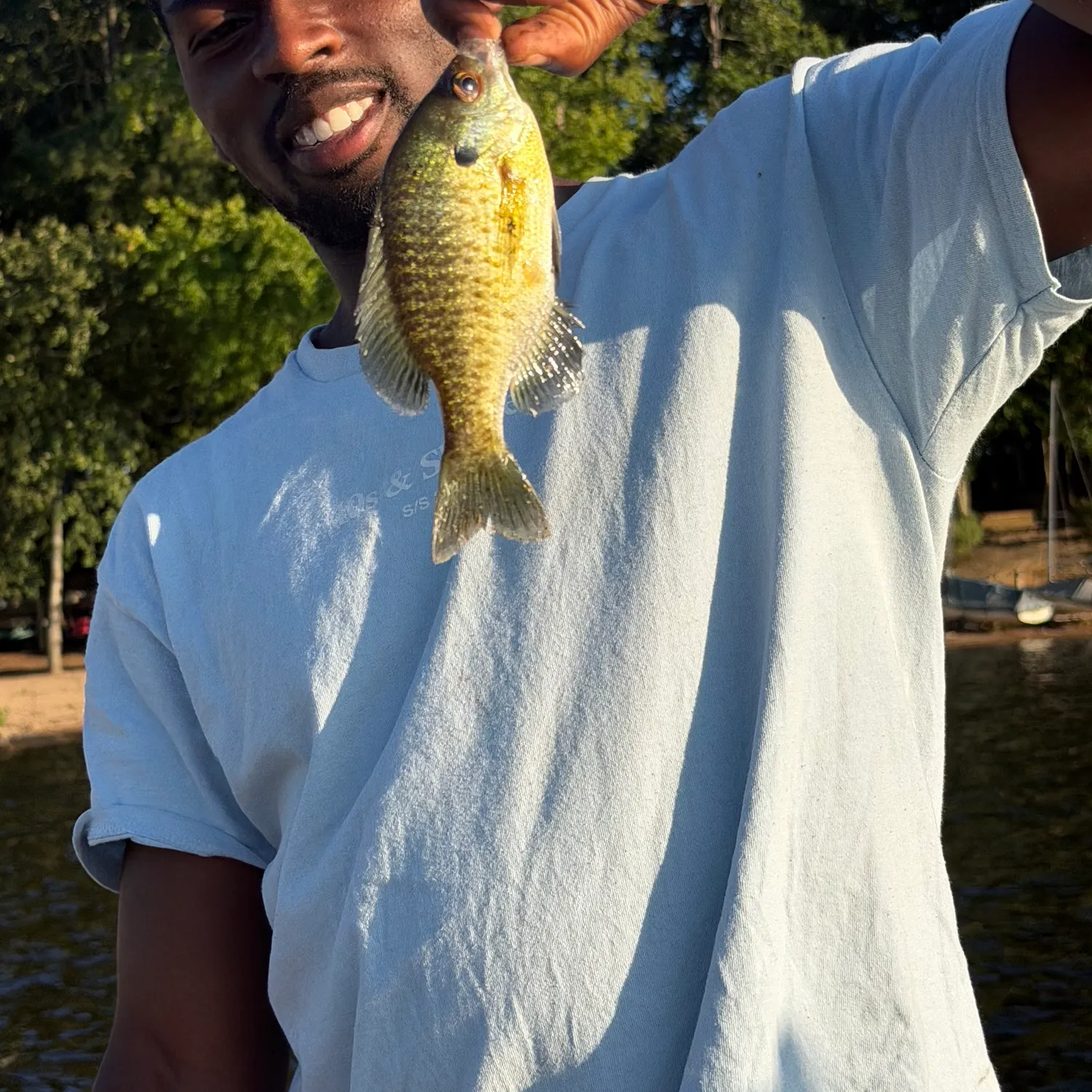 Bluegill caught on Fishbrain