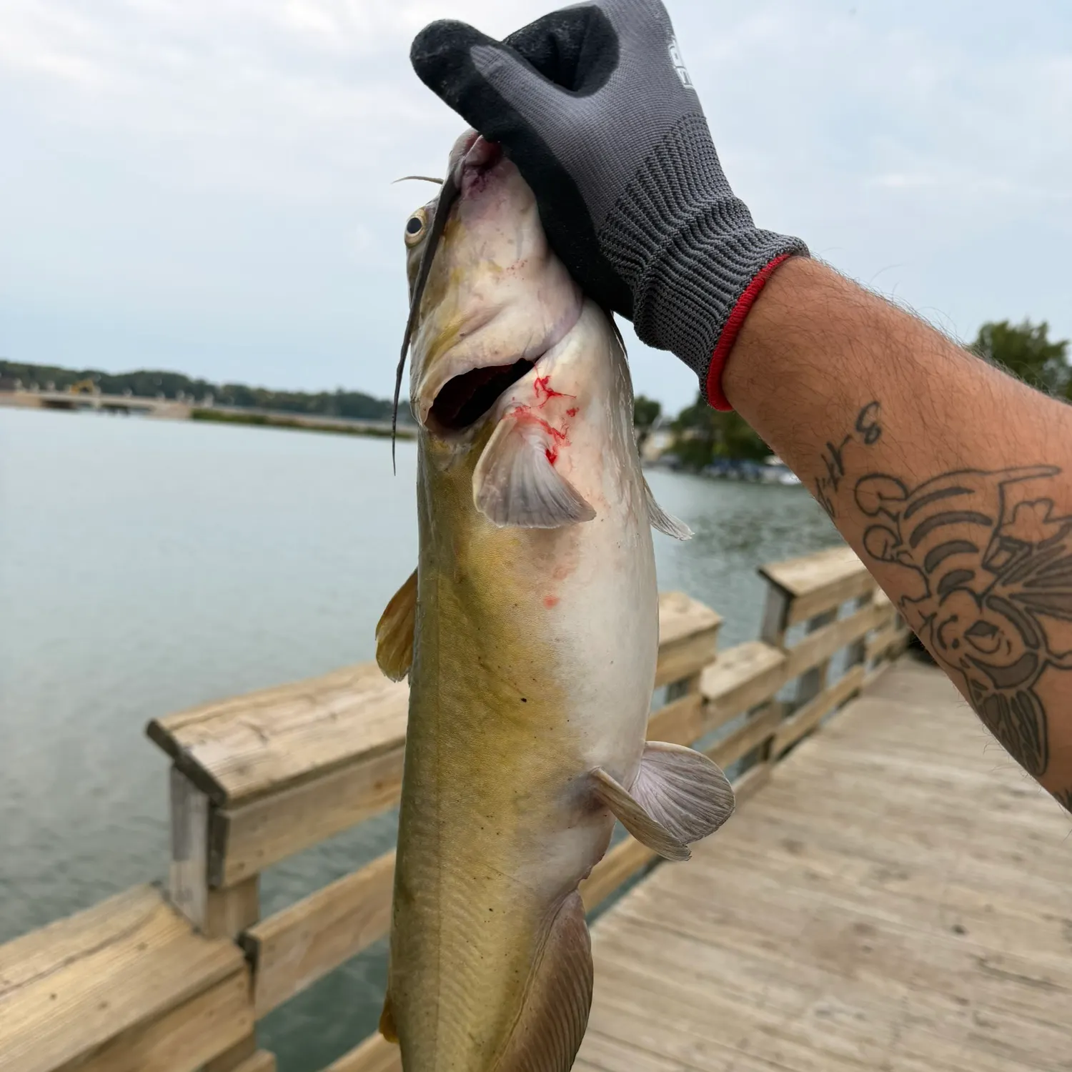 catch