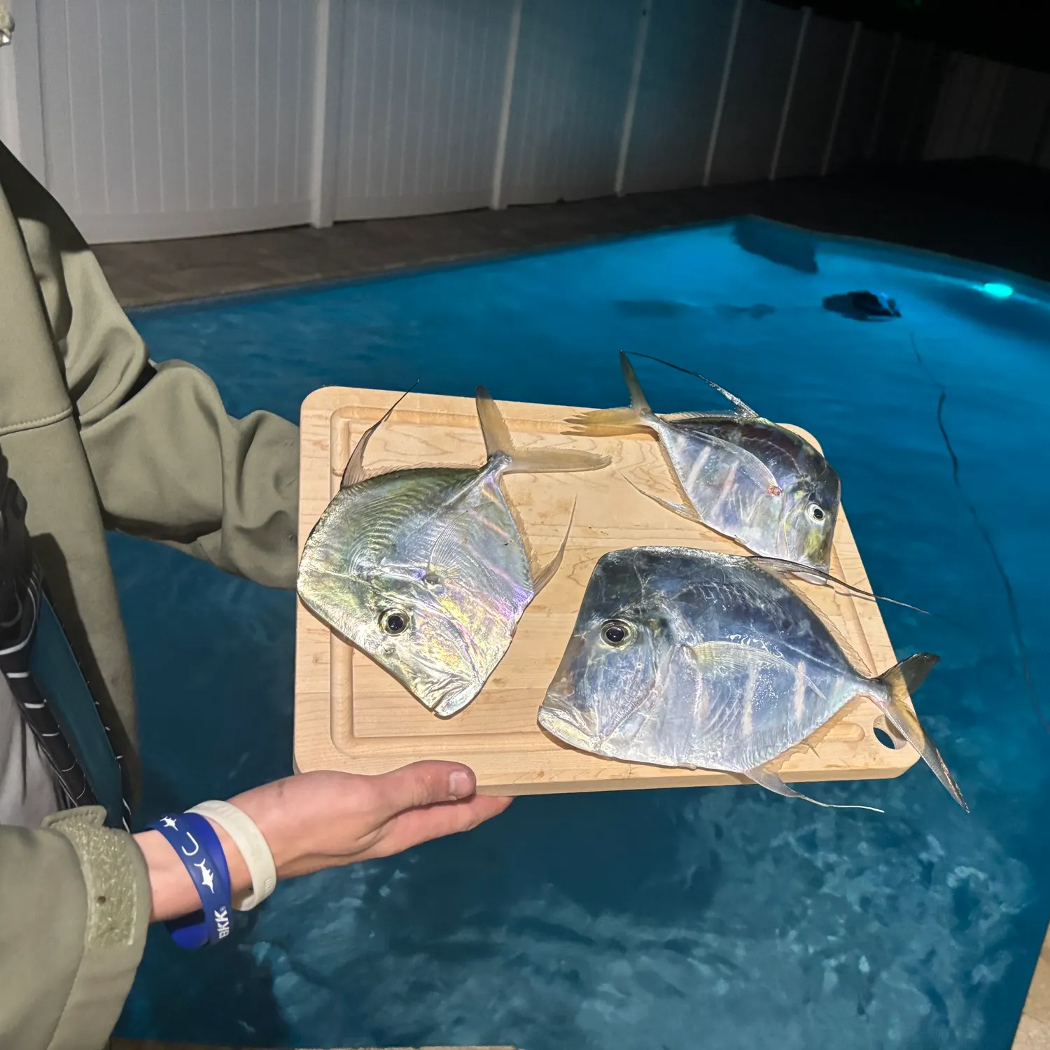 The most recent Lookdown catches on Fishbrain