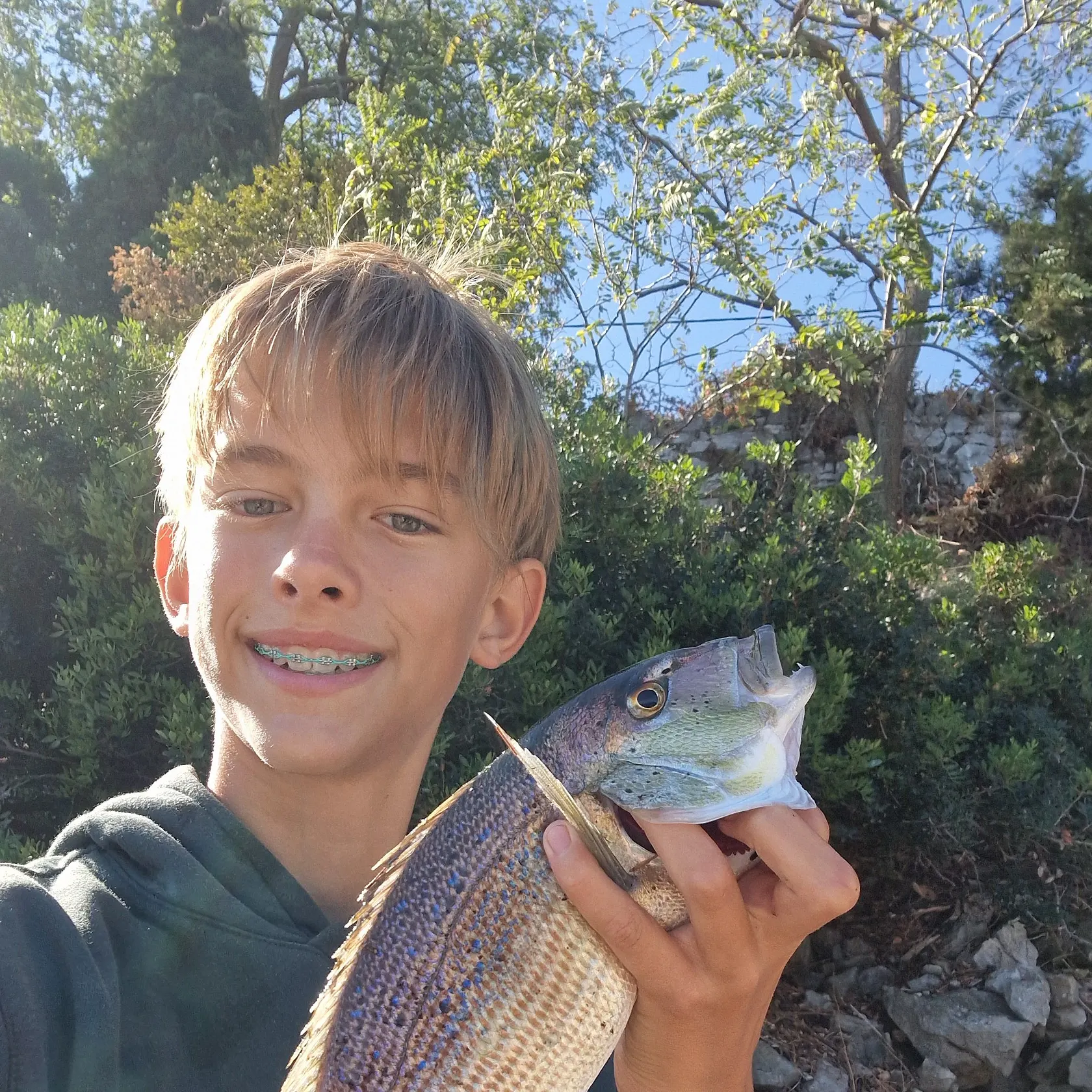 Common dentex caught on Fishbrain