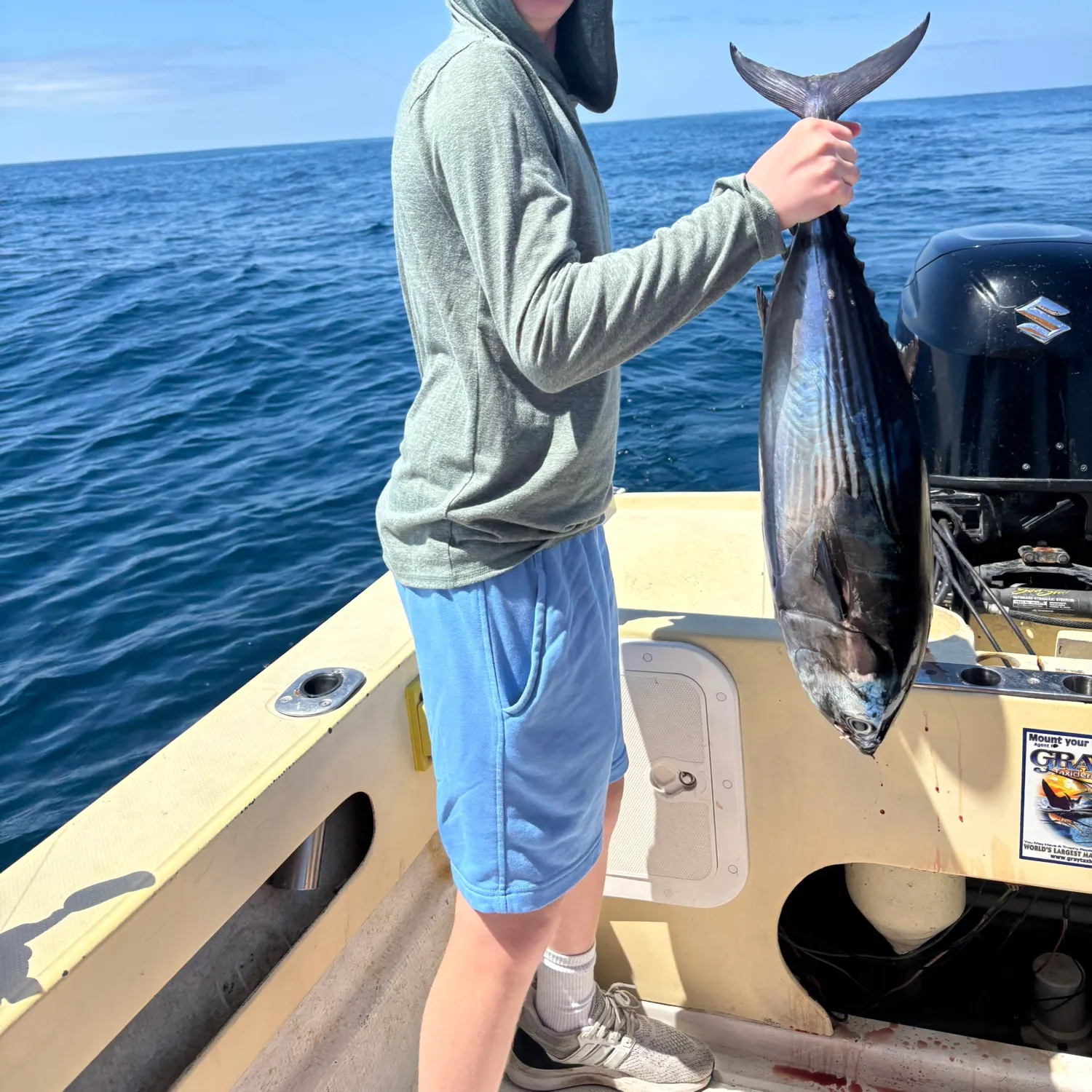The most recent Skipjack tuna catches on Fishbrain