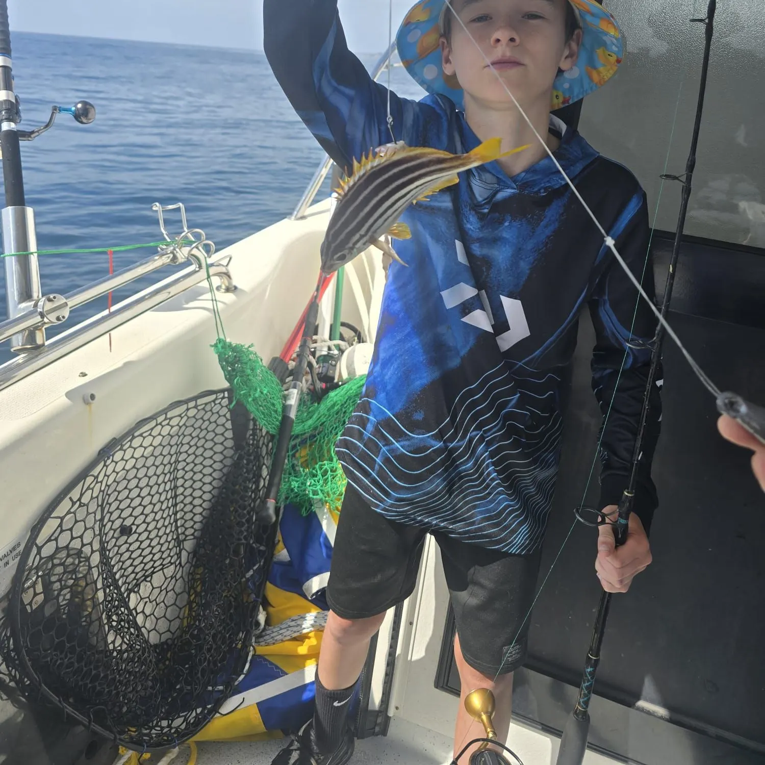 The most recent Great white shark catches on Fishbrain