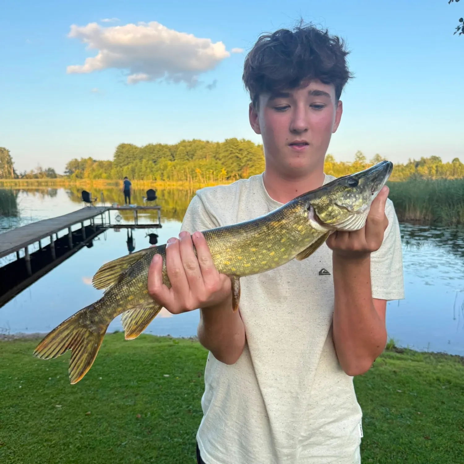 Northern pike caught on Fishbrain