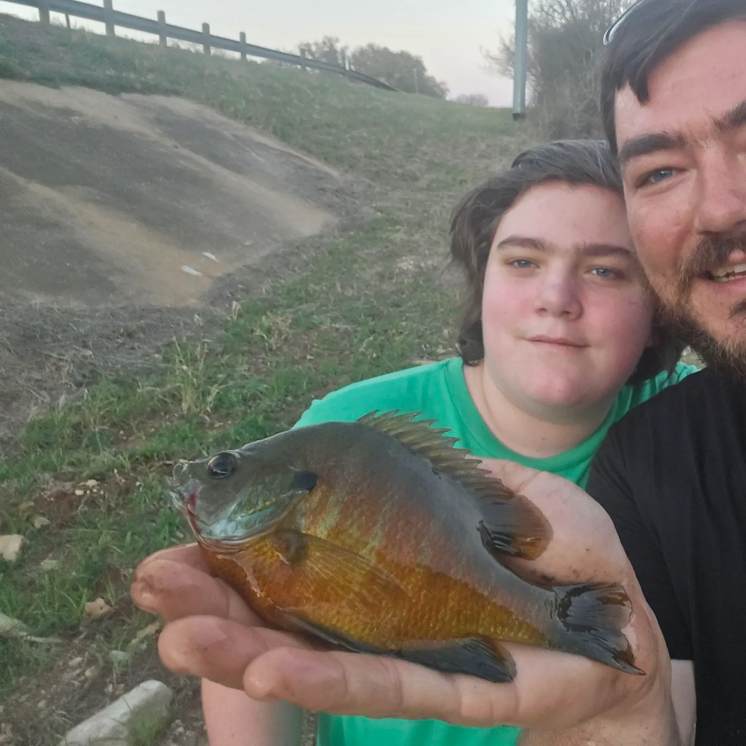 Bluegill caught on Fishbrain