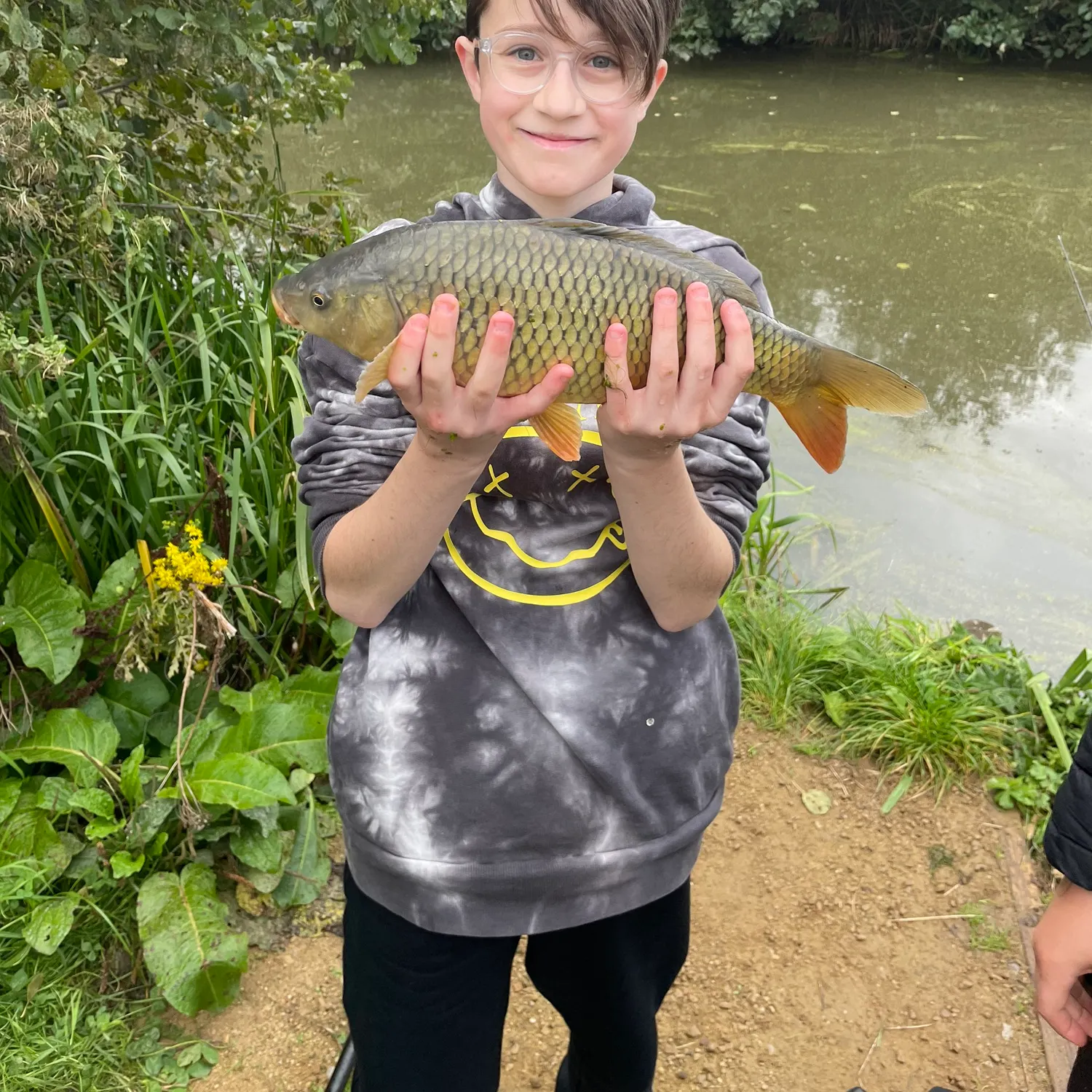 Common carp caught on Fishbrain