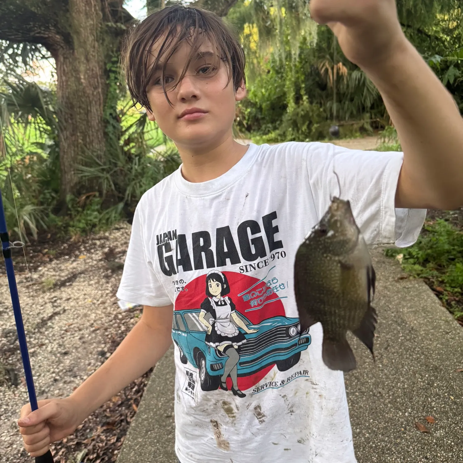 Rio Grande cichlid caught on Fishbrain