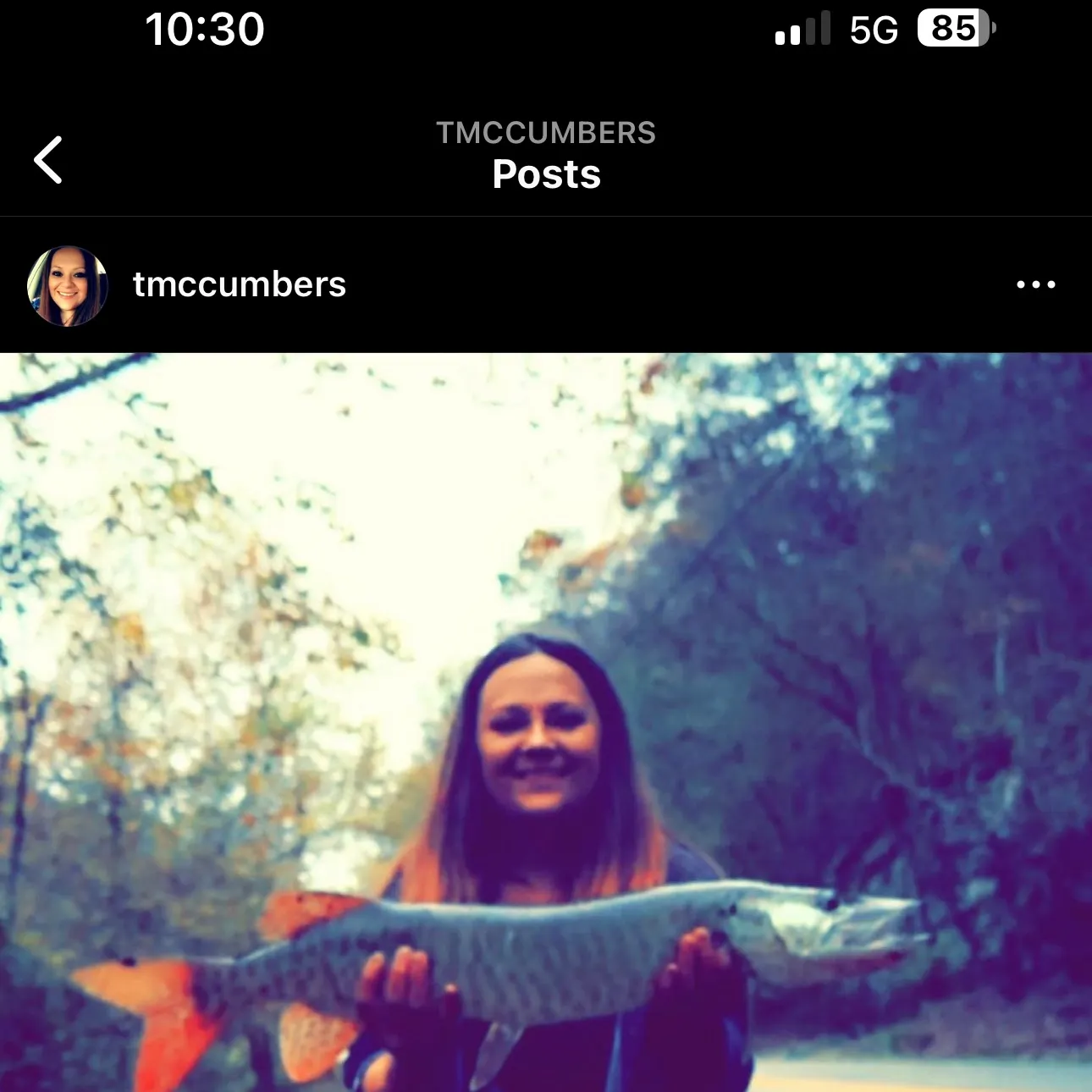 recently logged catches