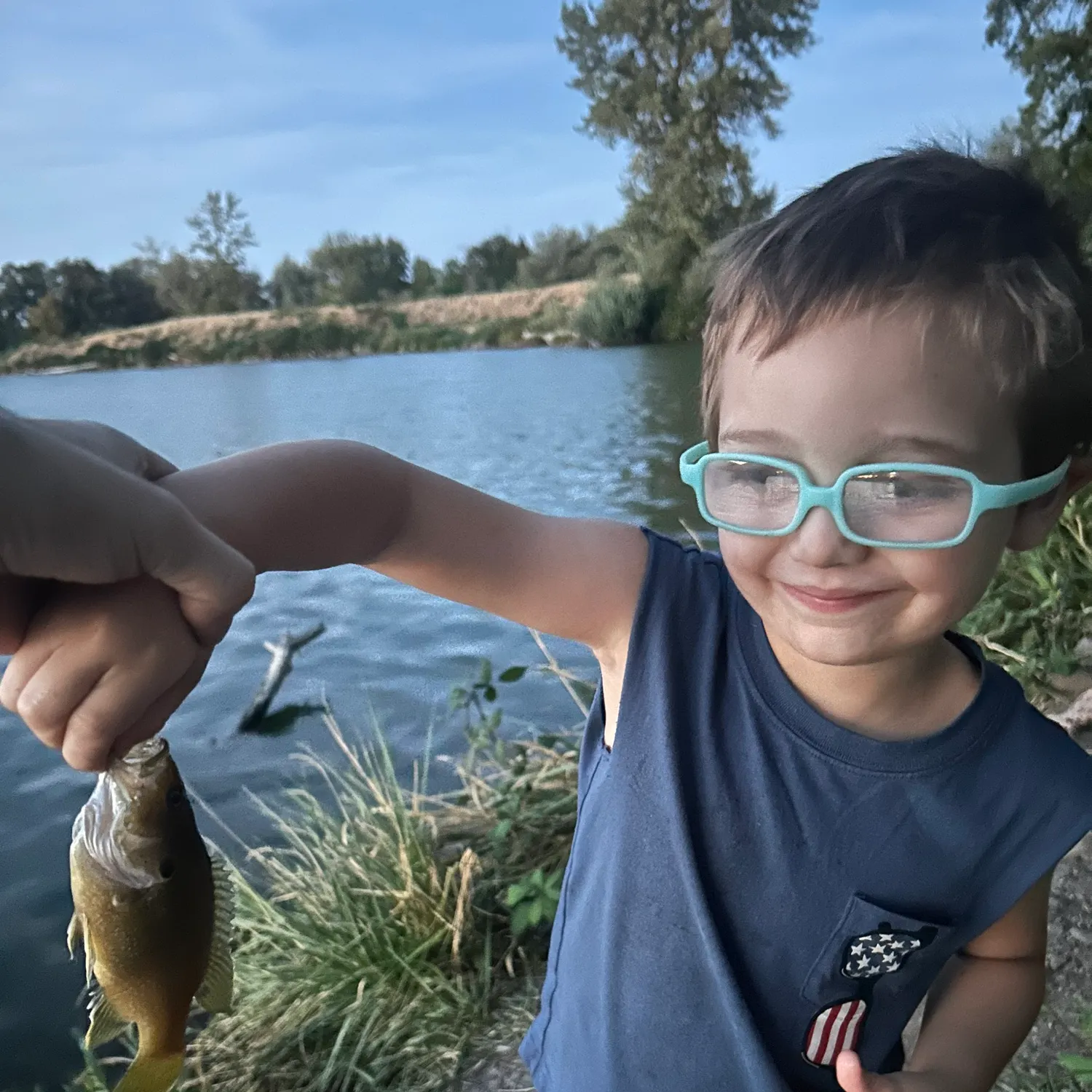 Green sunfish caught on Fishbrain