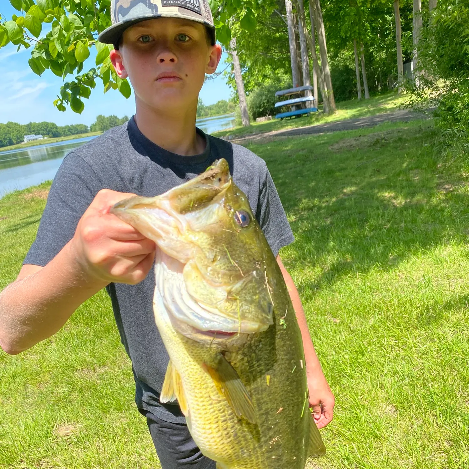 Largemouth bass caught on Fishbrain