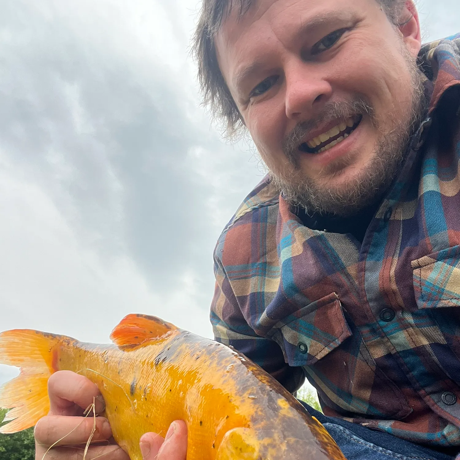 most liked catch image