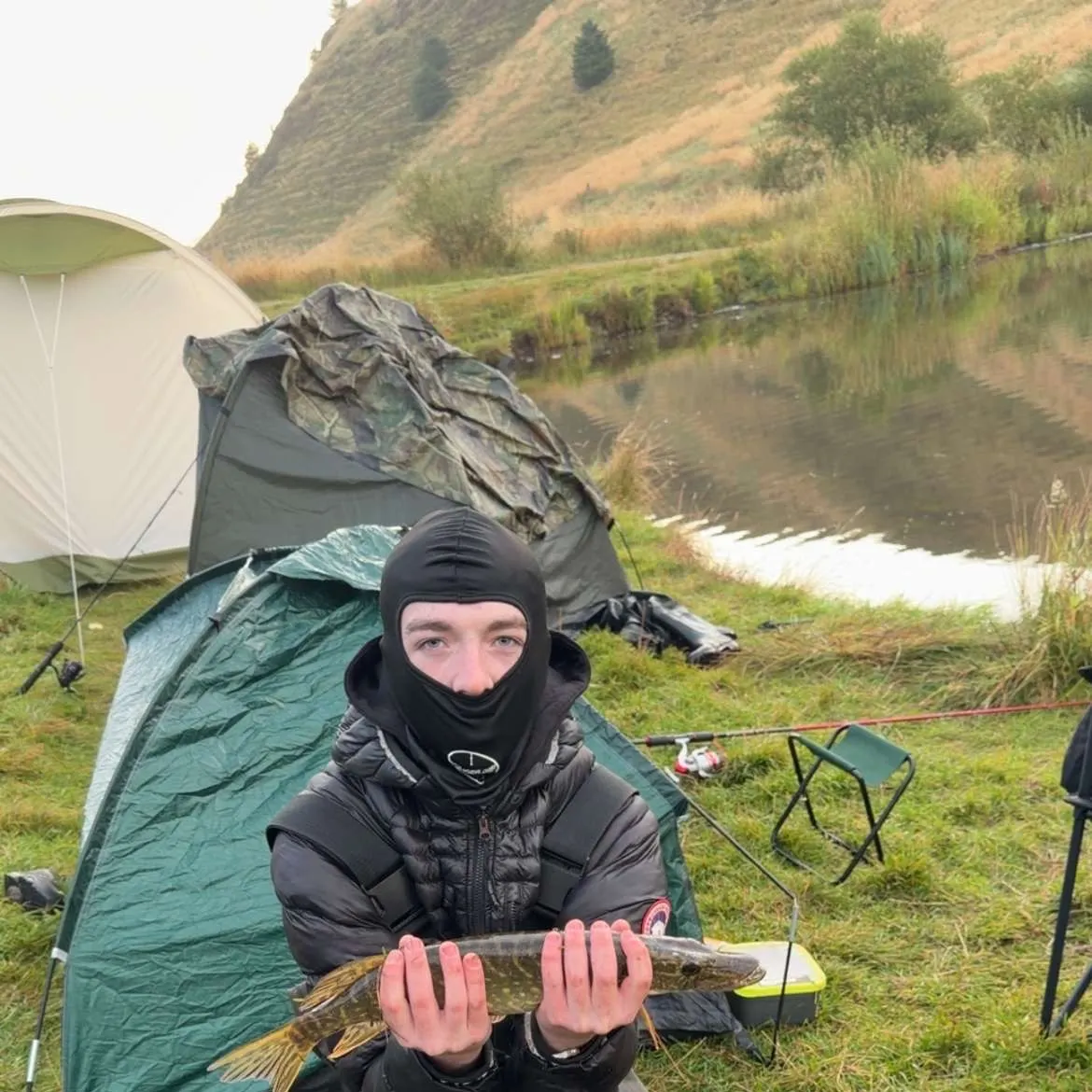 Northern pike caught on Fishbrain