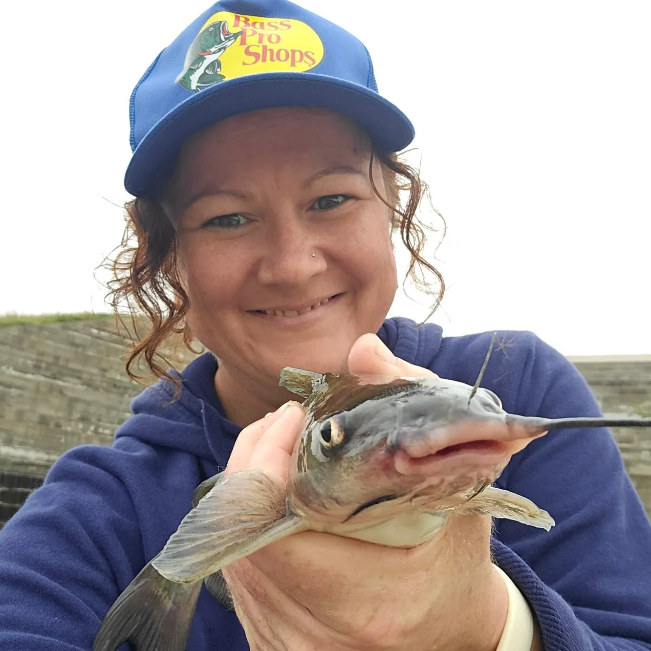 Channel catfish caught on Fishbrain