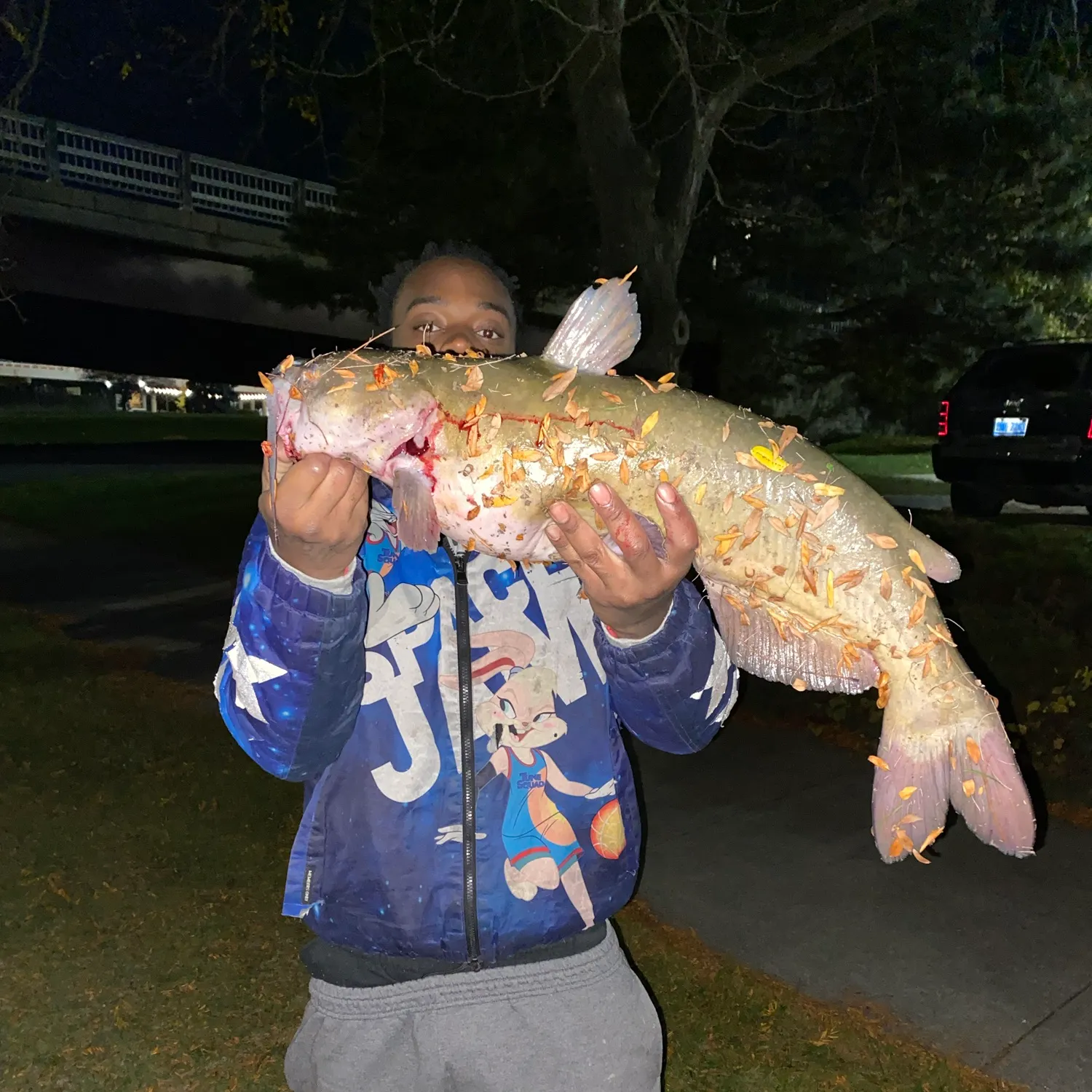 Channel catfish caught on Fishbrain